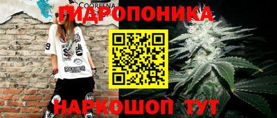 ПСИЛОЦИБИНОВЫЕ ГРИБЫ Новокубанск