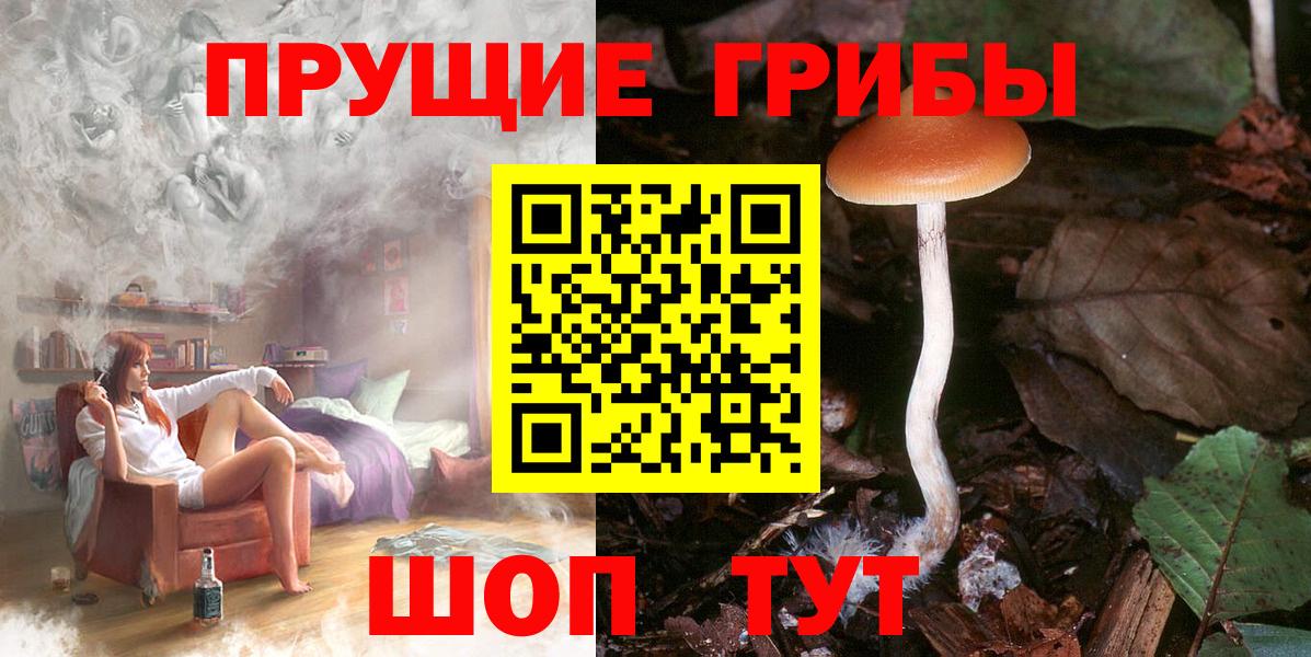 Псилоцибиновые грибы Psilocybine cubensis Алушта