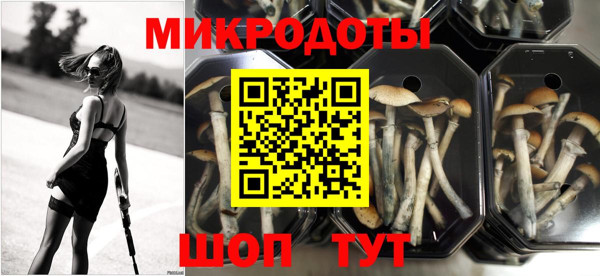 Алушта  наркошоп  Вход с VPN  Псилоцибиновые грибы MAGIC MUSHROOMS 